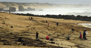 Ratusan Kilogram Narkoba Terdampar di Pantai Prancis